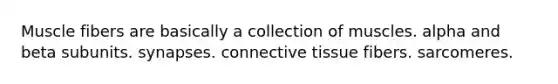 Muscle fibers are basically a collection of muscles. alpha and beta subunits. synapses. <a href='https://www.questionai.com/knowledge/kYDr0DHyc8-connective-tissue' class='anchor-knowledge'>connective tissue</a> fibers. sarcomeres.
