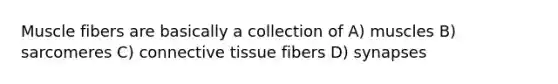 Muscle fibers are basically a collection of A) muscles B) sarcomeres C) connective tissue fibers D) synapses