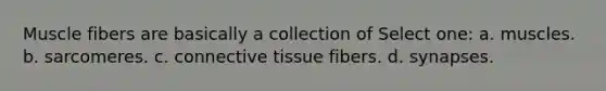 Muscle fibers are basically a collection of Select one: a. muscles. b. sarcomeres. c. <a href='https://www.questionai.com/knowledge/kYDr0DHyc8-connective-tissue' class='anchor-knowledge'>connective tissue</a> fibers. d. synapses.