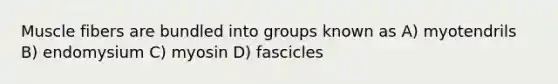 Muscle fibers are bundled into groups known as A) myotendrils B) endomysium C) myosin D) fascicles