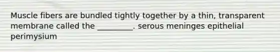 Muscle fibers are bundled tightly together by a thin, transparent membrane called the _________. serous meninges epithelial perimysium