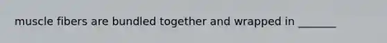 muscle fibers are bundled together and wrapped in _______