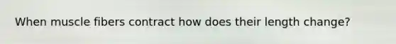 When muscle fibers contract how does their length change?