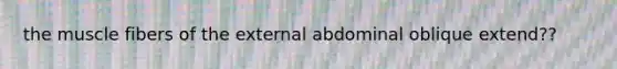 the muscle fibers of the external abdominal oblique extend??