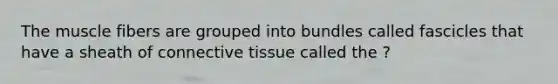 The muscle fibers are grouped into bundles called fascicles that have a sheath of connective tissue called the ?