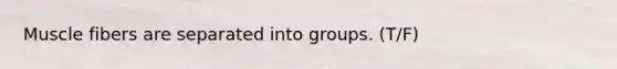 Muscle fibers are separated into groups. (T/F)