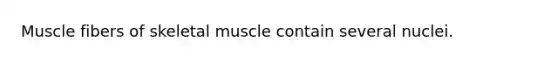 Muscle fibers of skeletal muscle contain several nuclei.