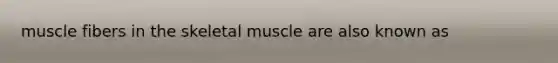 muscle fibers in the skeletal muscle are also known as