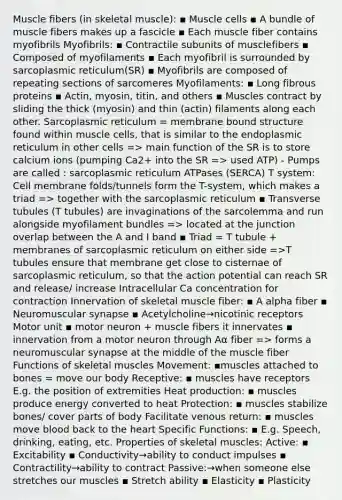 Muscle fibers (in skeletal muscle): ▪ Muscle cells ▪ A bundle of muscle fibers makes up a fascicle ▪ Each muscle fiber contains myofibrils Myofibrils: ▪ Contractile subunits of musclefibers ▪ Composed of myofilaments ▪ Each myofibril is surrounded by sarcoplasmic reticulum(SR) ▪ Myofibrils are composed of repeating sections of sarcomeres Myofilaments: ▪ Long fibrous proteins ▪ Actin, myosin, titin, and others ▪ Muscles contract by sliding the thick (myosin) and thin (actin) filaments along each other. Sarcoplasmic reticulum = membrane bound structure found within muscle cells, that is similar to the endoplasmic reticulum in other cells => main function of the SR is to store calcium ions (pumping Ca2+ into the SR => used ATP) - Pumps are called : sarcoplasmic reticulum ATPases (SERCA) T system: Cell membrane folds/tunnels form the T-system, which makes a triad => together with the sarcoplasmic reticulum ▪ Transverse tubules (T tubules) are invaginations of the sarcolemma and run alongside myofilament bundles => located at the junction overlap between the A and I band ▪ Triad = T tubule + membranes of sarcoplasmic reticulum on either side =>T tubules ensure that membrane get close to cisternae of sarcoplasmic reticulum, so that the action potential can reach SR and release/ increase Intracellular Ca concentration for contraction Innervation of skeletal muscle fiber: ▪ A alpha fiber ▪ Neuromuscular synapse ▪ Acetylcholine→nicotinic receptors Motor unit ▪ motor neuron + muscle fibers it innervates ▪ innervation from a motor neuron through Aα fiber => forms a neuromuscular synapse at the middle of the muscle fiber Functions of skeletal muscles Movement: ▪muscles attached to bones = move our body Receptive: ▪ muscles have receptors E.g. the position of extremities Heat production: ▪ muscles produce energy converted to heat Protection: ▪ muscles stabilize bones/ cover parts of body Facilitate venous return: ▪ muscles move blood back to the heart Specific Functions: ▪ E.g. Speech, drinking, eating, etc. Properties of skeletal muscles: Active: ▪ Excitability ▪ Conductivity→ability to conduct impulses ▪ Contractility→ability to contract Passive:→when someone else stretches our muscles ▪ Stretch ability ▪ Elasticity ▪ Plasticity