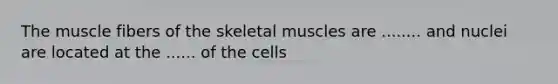 The muscle fibers of the skeletal muscles are ........ and nuclei are located at the ...... of the cells