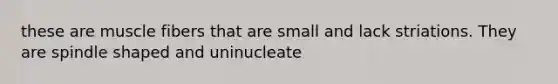 these are muscle fibers that are small and lack striations. They are spindle shaped and uninucleate