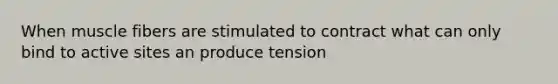 When muscle fibers are stimulated to contract what can only bind to active sites an produce tension