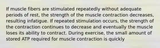 If muscle fibers are stimulated repeatedly without adequate periods of rest, the strength of the muscle contraction decreases, resulting infatigue. If repeated stimulation occurs, the strength of the contraction continues to decrease and eventually the muscle loses its ability to contract. During exercise, the small amount of stored ATP required for muscle contraction is quickly