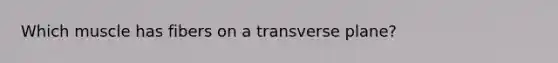 Which muscle has fibers on a transverse plane?