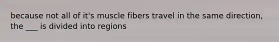 because not all of it's muscle fibers travel in the same direction, the ___ is divided into regions