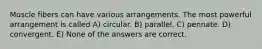 Muscle fibers can have various arrangements. The most powerful arrangement is called A) circular. B) parallel. C) pennate. D) convergent. E) None of the answers are correct.