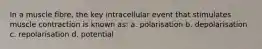 In a muscle fibre, the key intracellular event that stimulates muscle contraction is known as: a. polarisation b. depolarisation c. repolarisation d. potential