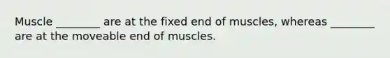 Muscle ________ are at the fixed end of muscles, whereas ________ are at the moveable end of muscles.