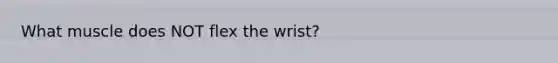 What muscle does NOT flex the wrist?