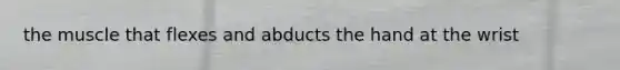 the muscle that flexes and abducts the hand at the wrist