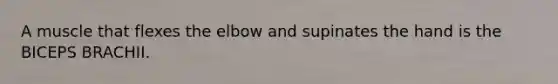 A muscle that flexes the elbow and supinates the hand is the BICEPS BRACHII.