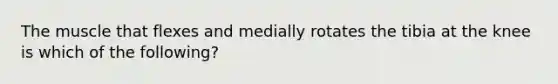 The muscle that flexes and medially rotates the tibia at the knee is which of the following?