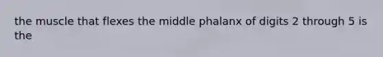 the muscle that flexes the middle phalanx of digits 2 through 5 is the