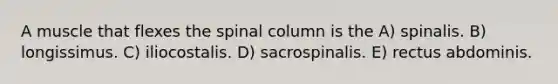 A muscle that flexes the spinal column is the A) spinalis. B) longissimus. C) iliocostalis. D) sacrospinalis. E) rectus abdominis.