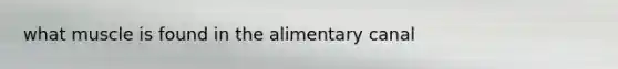 what muscle is found in the alimentary canal