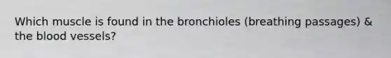 Which muscle is found in the bronchioles (breathing passages) & <a href='https://www.questionai.com/knowledge/k7oXMfj7lk-the-blood' class='anchor-knowledge'>the blood</a> vessels?