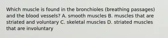 Which muscle is found in the bronchioles (breathing passages) and <a href='https://www.questionai.com/knowledge/k7oXMfj7lk-the-blood' class='anchor-knowledge'>the blood</a> vessels? A. smooth muscles B. muscles that are striated and voluntary C. skeletal muscles D. striated muscles that are involuntary