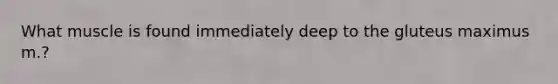 What muscle is found immediately deep to the gluteus maximus m.?