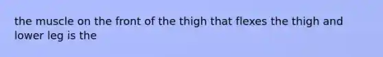 the muscle on the front of the thigh that flexes the thigh and lower leg is the