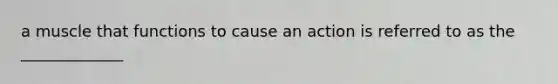 a muscle that functions to cause an action is referred to as the _____________