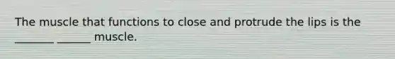 The muscle that functions to close and protrude the lips is the _______ ______ muscle.