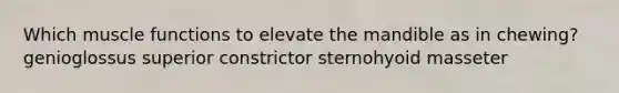 Which muscle functions to elevate the mandible as in chewing? genioglossus superior constrictor sternohyoid masseter