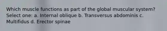 Which muscle functions as part of the global muscular system? Select one: a. Internal oblique b. Transversus abdominis c. Multifidus d. Erector spinae