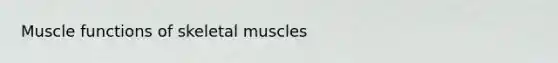 Muscle functions of skeletal muscles