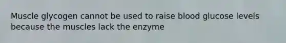 Muscle glycogen cannot be used to raise blood glucose levels because the muscles lack the enzyme