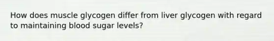 How does muscle glycogen differ from liver glycogen with regard to maintaining blood sugar levels?