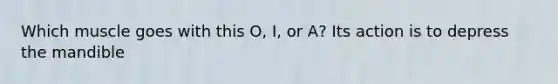 Which muscle goes with this O, I, or A? Its action is to depress the mandible