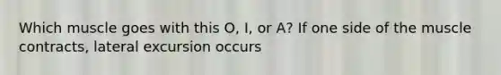 Which muscle goes with this O, I, or A? If one side of the muscle contracts, lateral excursion occurs