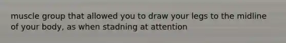 muscle group that allowed you to draw your legs to the midline of your body, as when stadning at attention