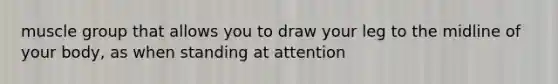 muscle group that allows you to draw your leg to the midline of your body, as when standing at attention