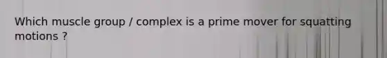 Which muscle group / complex is a prime mover for squatting motions ?