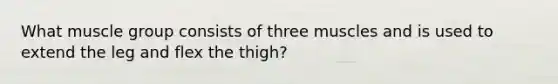 What muscle group consists of three muscles and is used to extend the leg and flex the thigh?