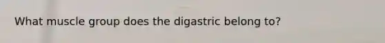 What muscle group does the digastric belong to?