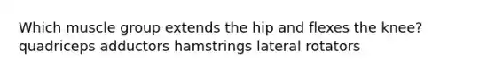 Which muscle group extends the hip and flexes the knee? quadriceps adductors hamstrings lateral rotators