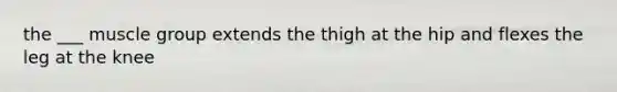 the ___ muscle group extends the thigh at the hip and flexes the leg at the knee