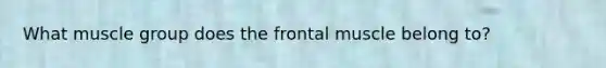 What muscle group does the frontal muscle belong to?